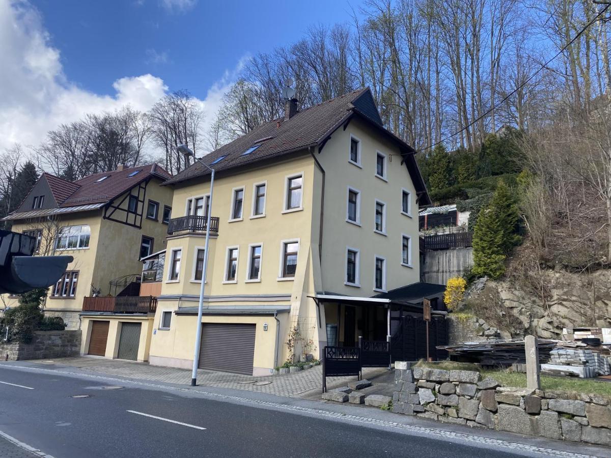 Waldblickwohnung Mit Schoener Terrasse Und Kamin Sebnitz Eksteriør billede
