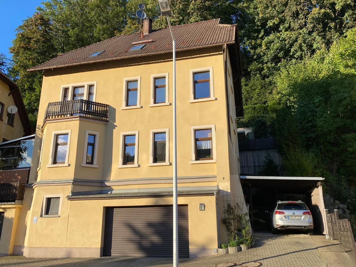 Waldblickwohnung Mit Schoener Terrasse Und Kamin Sebnitz Eksteriør billede