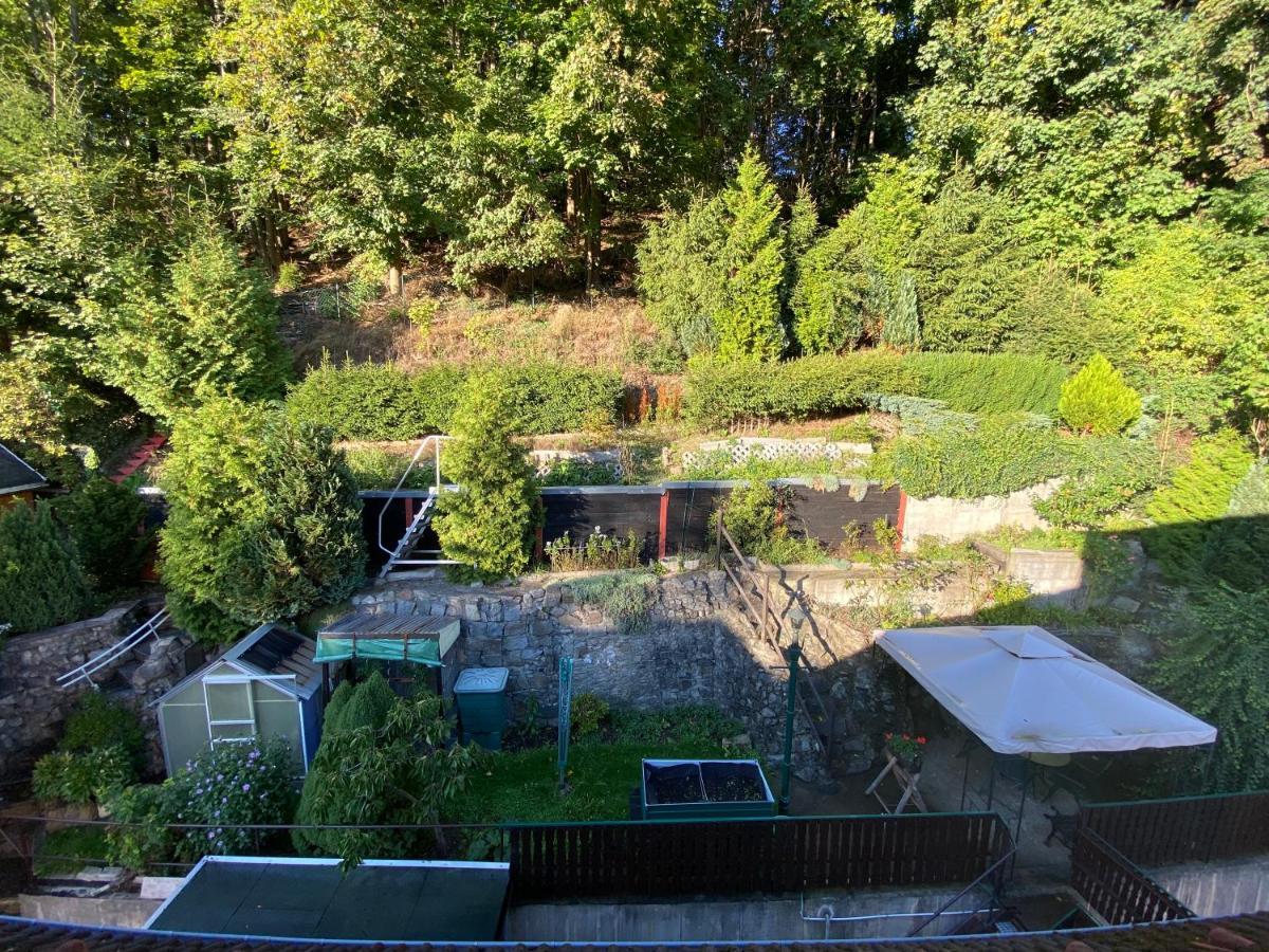 Waldblickwohnung Mit Schoener Terrasse Und Kamin Sebnitz Eksteriør billede