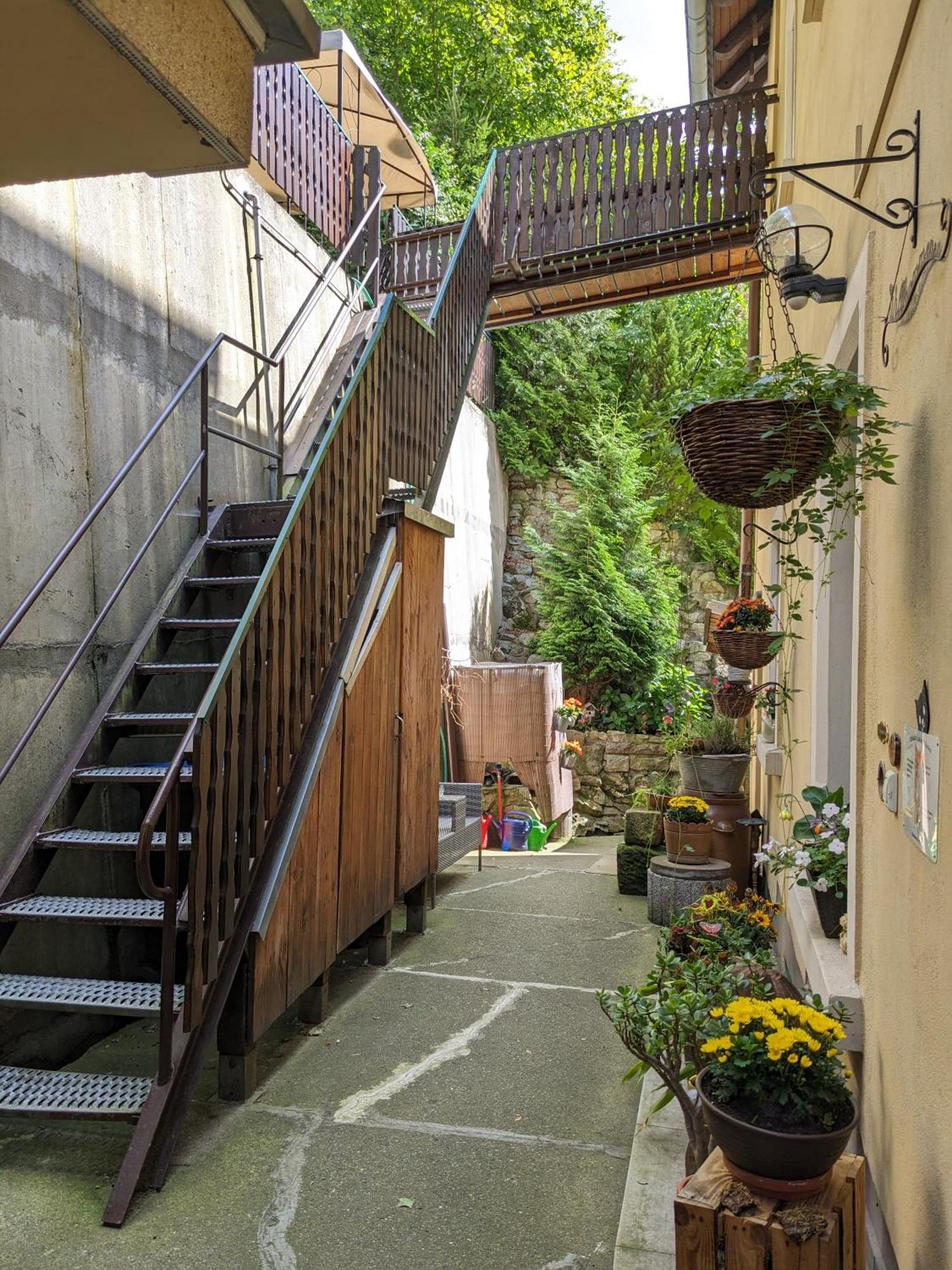 Waldblickwohnung Mit Schoener Terrasse Und Kamin Sebnitz Eksteriør billede